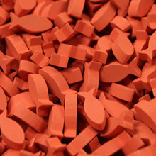 Fish Bits