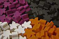 Lords of Waterdeep Mini Meeple 100 piece Set