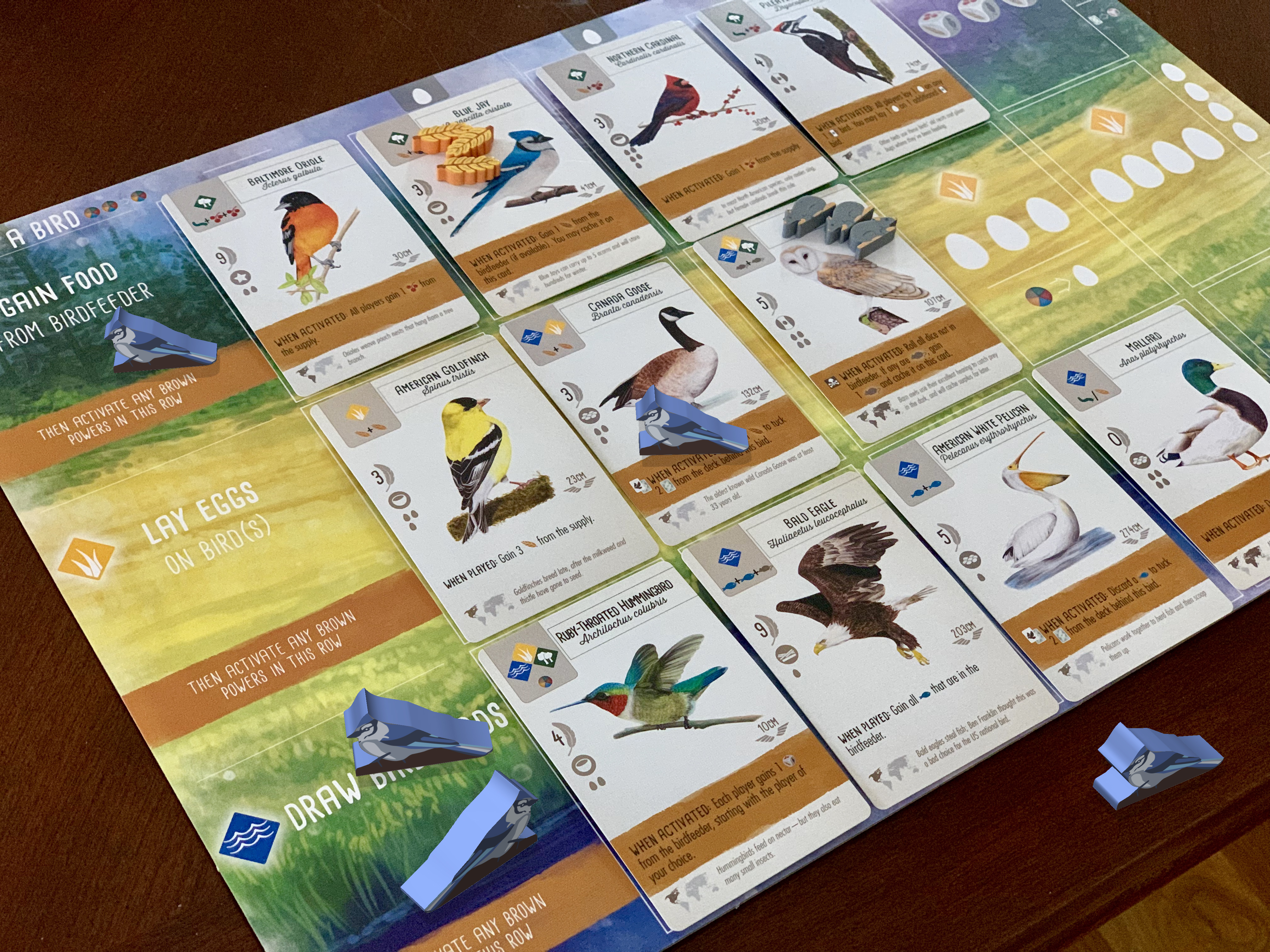 Custom Set of Painted Wingspan Bird Meeples and/or Resources (All Series)